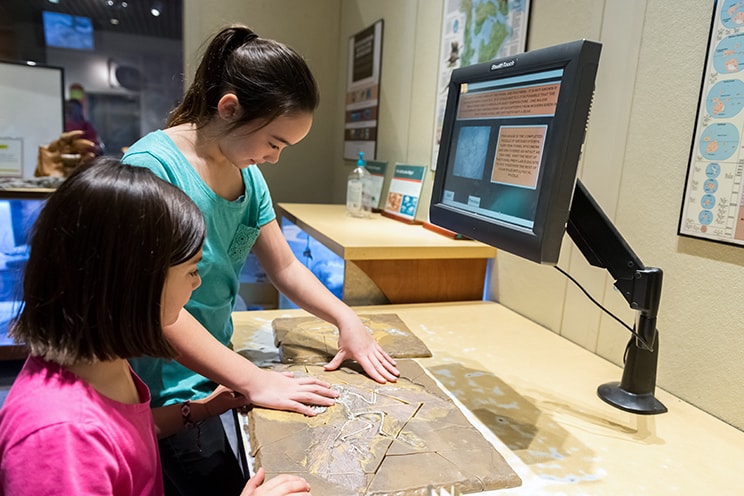 Kids looking at fossils