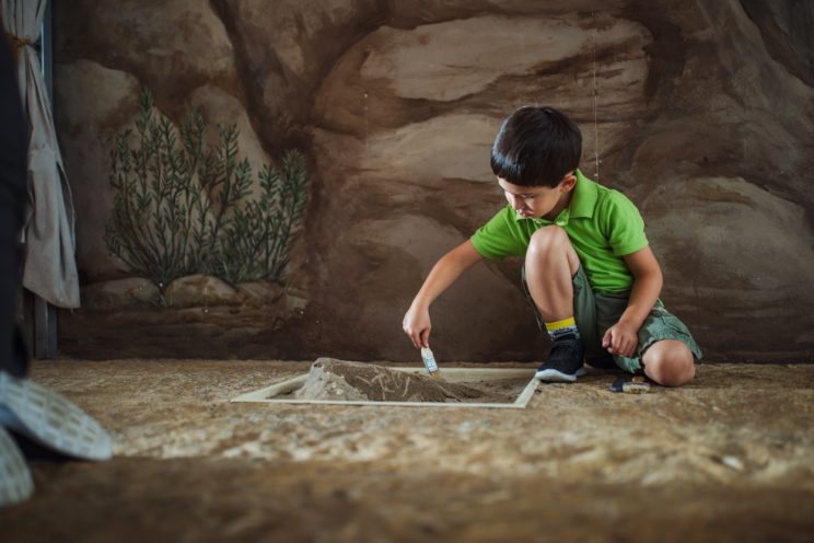 Boy digging in Ecology & Environments.