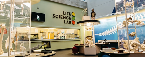 Life Science Lab Exhibit Gallery