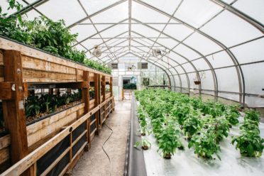GROW greenhouse