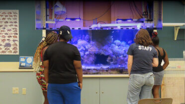 Fish Feeding at the Life Science Lab!