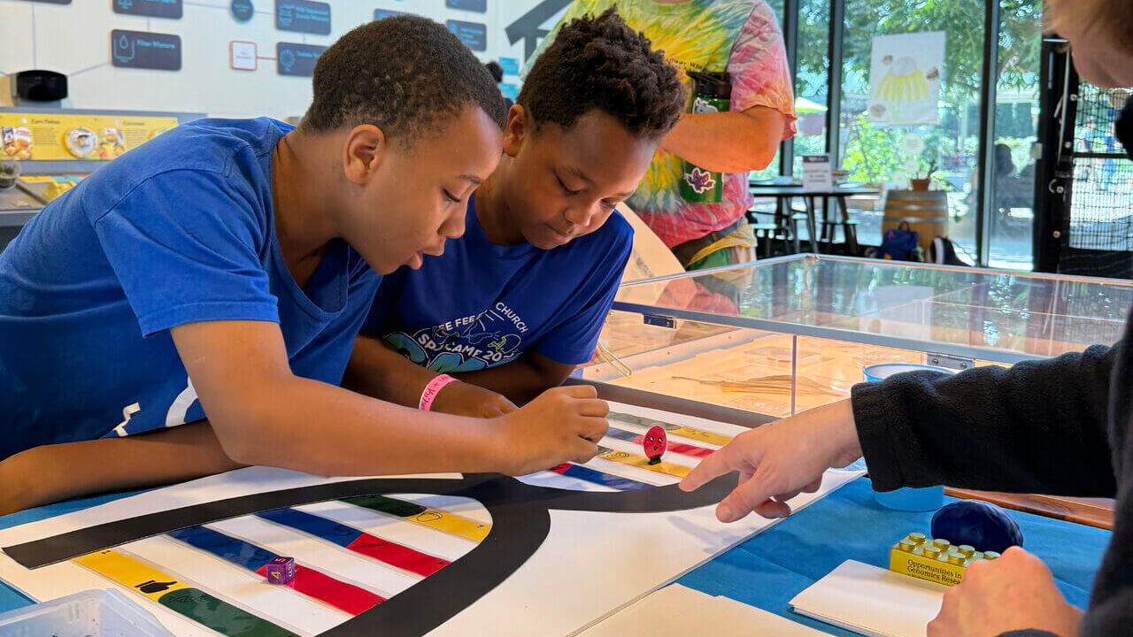 Imagination, Inspiration, and Innovation at SciFest: Play and ...