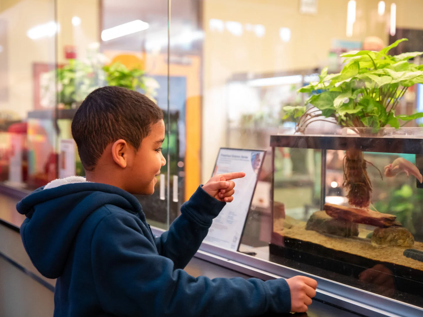LIFE SCIENCE CLASSROOM: Amphibian Feeding