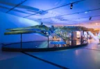80 foot, full-scale replica skeleton of a blue whale on display within the exhibition The Blue Whale Story at the Saint Louis Science Center