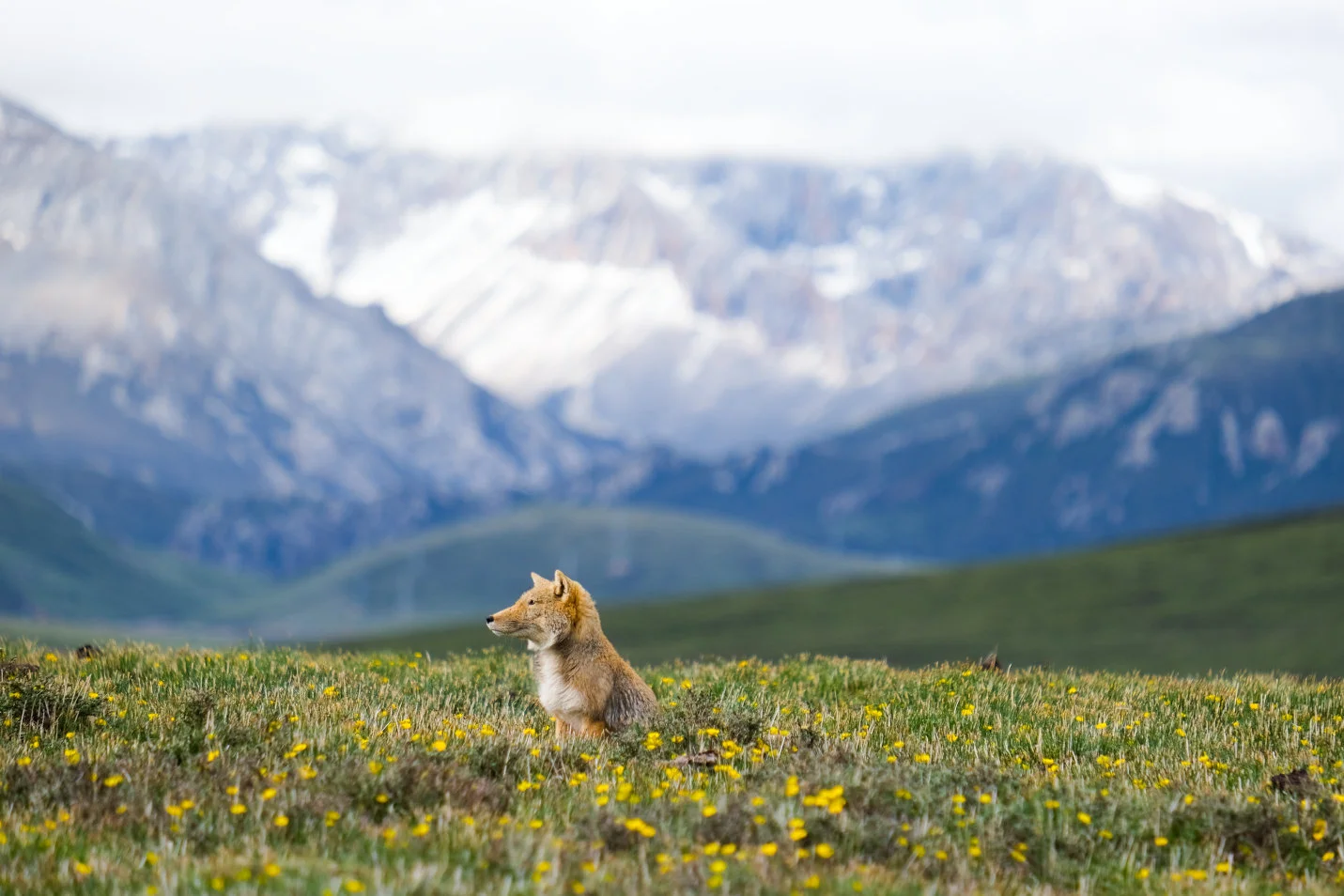 ASA-6TFC_230623_STILLS_001_2366