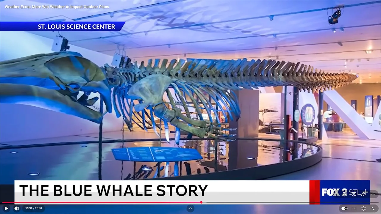 Clip from Fox 2 Weather Extra interview on The Blue Whales with Kaylia Eskew and Angela Hutti