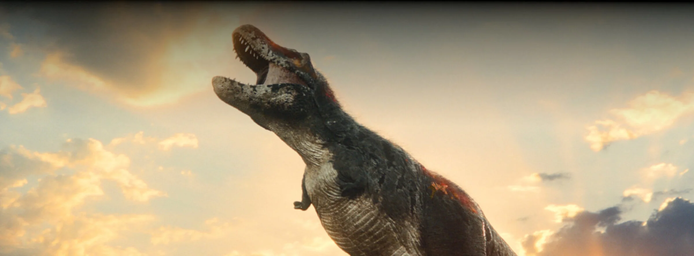 TREX-Feature-2594x954